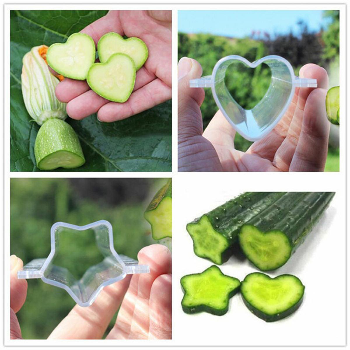 1 Pcs Plastic Cucumber Growth Forming Mold Heart/Star Fruit Shaping Growing Mold