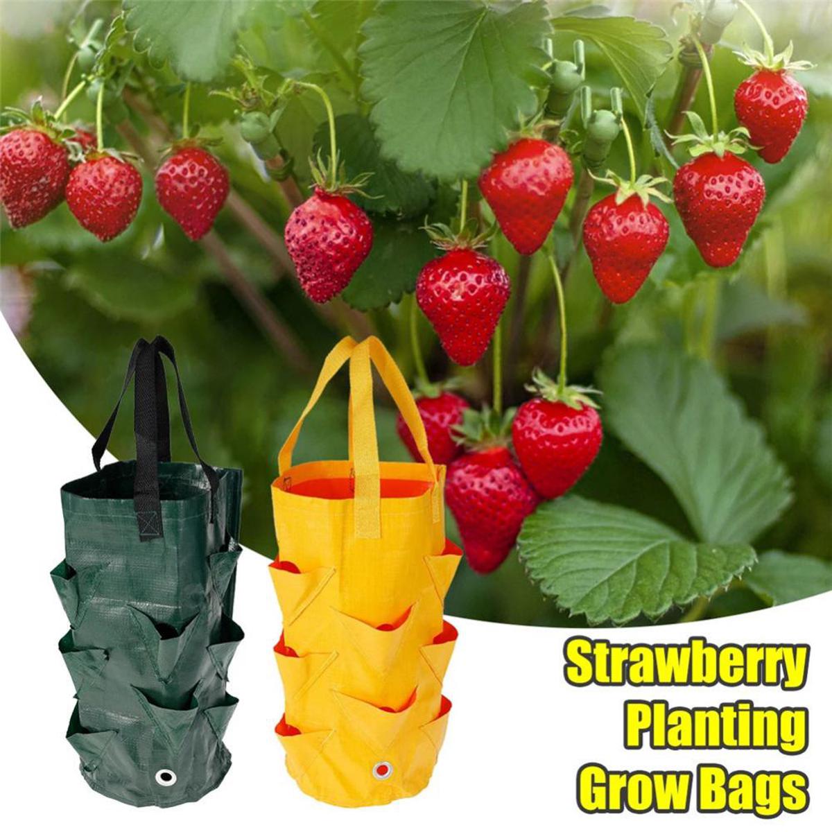 【HOT】 3 Gallons Garden Planting Bag Strawberry Tomato Grow Bag Multi-Mouth Vertical Flower Herb Reusable Garden Accessories